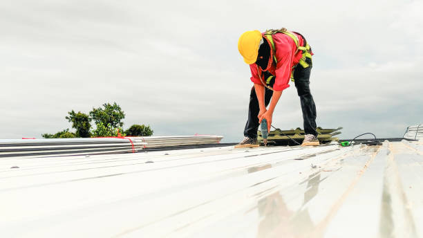Best Green or Eco-Friendly Roofing Solutions  in Marine, IL