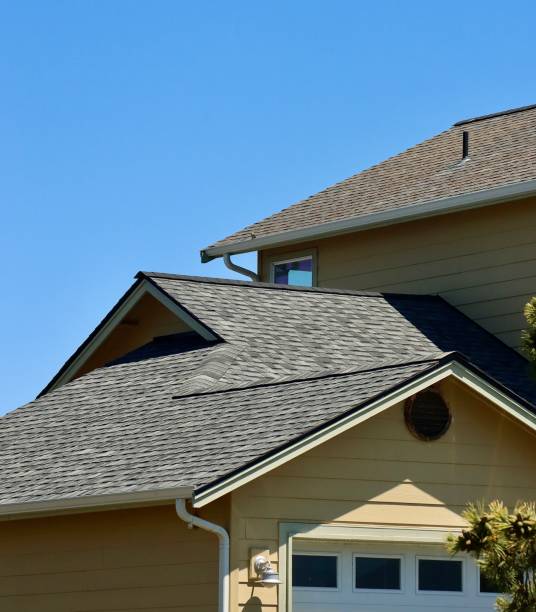 Best Roof Moss and Algae Removal  in Marine, IL